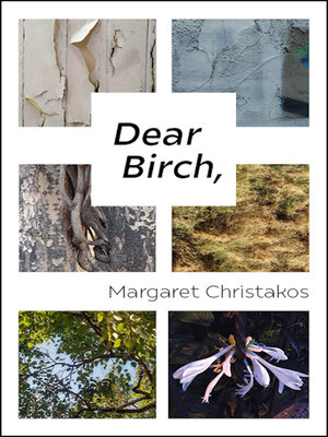 cover image of Dear Birch,